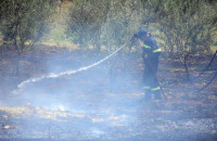 Ηράκλειο: Υπό μερικό έλεγχο η πυρκαγιά στην Καρκαδιώτισσα