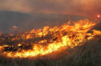 Λήψη μέτρων διασφάλισης της Δημόσιας Υγείας σε περίπτωση πυρκαγιών