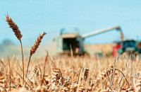 Οι Δήμαρχοι της ΠΕ Σερρών ζητούν De minimis στο Σιτάρι