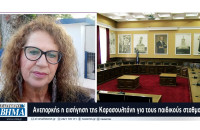 Σέρρες - Ανεπαρκής η εισήγηση της Καρασουλτάνη για τους παιδικούς σταθμούς