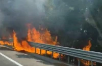 Πρόστιμο-«καμπάνα» στις Σέρρες για καύση φυτικής βλάστησης