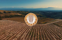 56.000 ευρώ τα πρώτα πρόστιμα σε φορείς πιστοποίησης βιολογικών προϊόντων