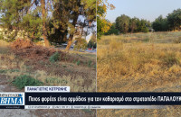 Παναγιώτης Κοτρώνης: Ποιος φορέας είναι αρμόδιος για τον καθαρισμό στο στρατοπέδο ΠΑΠΑΛΟΥΚΑ;