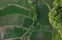 ΠΟΓΕΔΥ-Από τις εικονικές βοσκές στη "ψεύτικη ευφυΐα";