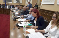 Σε “τοίχο” βρέθηκε η επικεφαλής της ΔΥΝΑΜΗΣ Αριάδνη Παπαφωτίου