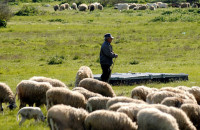 Χρήστος Κέλλας: Δεν υπάρχει εγκεκριμένο εμβόλιο κατά της ευλογιάς στην ΕΕ