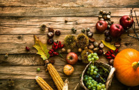 Φθινοπωρινές Υγιεινές Τροφές: Η Εποχή που η Φύση Μας Φροντίζει