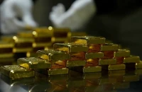 Άνδρας πέταξε κατά λάθος ράβδους χρυσού αξίας 120.000 ευρώ στα... σκουπίδια