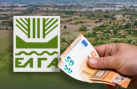 ΕΛΓΑ - Πληρωμή 6,4 εκ €, σε παραγωγούς, των οποίων οι καλλιέργειες επλήγησαν από τον Παγετό Άνοιξη 2025.
