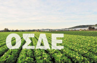 Για διορθώσεις σφαλμάτων άνοιξε ξανά το ΟΣΔΕ στους αγρότες
