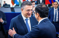 Ζητούν Τζιτζικώστας, Δένδιας και Πιερρακάκης αλλαγές στο καταστατικό της Νέας Δημοκρατίας