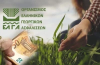 ΕΛΓΑ: Καταβολή αποζημιώσεων ύψους 73 εκατομμυρίων ευρώ για ζημίες του 2025