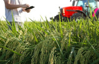 Αίτημα για αναπροσαρμογή της χιλιομετρικής αποζημίωσης από την Πανελλήνια Ένωση Γεωπόνων Δημοσίων Υπαλλήλων