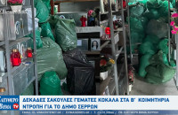 Δεκάδες σακούλες γεμάτες κόκαλα στα Β' κοιμητήρια - Ντροπή για το Δήμο Σερρών