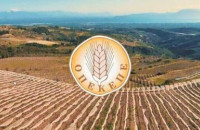 ΠΟΔΕΓΥ- Πολλές φωτογραφίες, κανένα αποτέλεσμα – το νέο μοντέλο διοίκησης του ΥπΑΑΤ