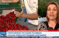 Γιορτή Κερασιού στο Γάζωρο 2026: Άλλη μια χρονιά επιτυχημένης διοργάνωσης