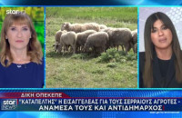 Σέρρες - ΟΠΕΚΕΠΕ: Καταπέλτης η εισαγγελέας για τους 32 Σερραίους αγρότες