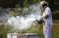 Λήψη προληπτικών μέτρων από μελισσοκόμους κατά την αντιπυρική περίοδο