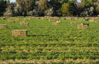 Ένωση Αγροτών Σερρών - Προβλήματα σε (de minimis) Μηδικής - Κλίμα απογοήτευσης στους αγρότες των Σερρών