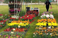 Η 25η Ανθοκομική Έκθεση Μονόβρυσης στις 7 Μαΐου ανοίγει τις πύλες της