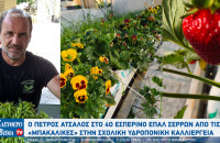Ο Πέτρος Άτσαλος στο 4ο εσπερινό ΕΠΑΛ Σερρών - Από τις «μπακάλικες» στην σχολική υδροπονική καλλιέργεια