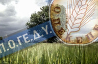 ΠΟΔΕΓΥ «Ώδινεν όρος και έτεκεν μυν…»