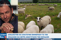 Σάκης Πίσιος - Σέρρες: Διεκδικούμε και απαιτούμε ενημέρωση για τον σχεδιασμό και μέτρα ανασύστασης των κοπαδιών