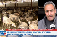 Εγκλεισμός προβάτων στις Σέρρες - Τα ζώα θέλουν να βγουν έξω" - Οικονομική ζημιά σε γάλα και φέτα!