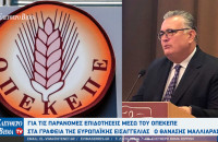 Σέρρες - Για τις παράνομες επιδοτήσεις μέσω του ΟΠΕΚΕΠΕ στα γραφεία της Ευρωπαϊκής Εισαγγελίας ο Θανάσης Μαλλιαράς