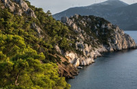 Μαρία Παπαδημητρίου -Κοπή εμβληματικών δέντρων στην Πλατεία Κρονίου στις Σέρρες