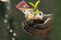Καθορίστηκαν οι τιμές των Οικολογικών Σχημάτων για το 2025