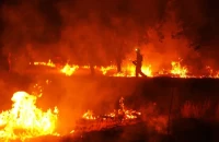 Ισπανία: Νέα πυρκαγιά στη Μαδρίτη εν μέσω καύσωνα και ισχυρών ανέμων - Εκκενώθηκαν κατοικίες