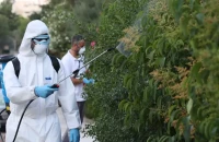 Ιός Δυτικού Νείλου: 42 περιστατικά στην Ελλάδα - Έντονη δραστηριότητα στην Αττική