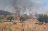 Οριοθετήθηκε η πυρκαγιά στην Οινούσσα