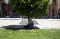 Από τους 54 στους 34 βαθμούς: Το πράσινο, η απάντηση στην ακραία ζέστη στα αστικά κέντρα