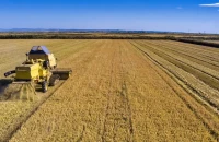 Ενισχύχεις de minimis για αγρότες των Σερρών:για αιτήσεις παραγωγών ρυζιού, κερασιών και μήλων