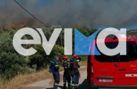 Φωτιά στα Εύβοια: Καίγεται δάσος κοντά στα Μεσοχώρια – Ήχησε το 112 και συνδρομή από εναέρια μέσα