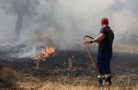 Φωτιά σε αγροτική έκταση στους Σοφάδες Καρδίτσας
