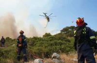 Φωτιά στη Βοιωτία: Καίγεται δάσος ανάμεσα σε Τσουκαλάδες και Άγιο Βλάσιο - Ενισχύθηκαν οι δυνάμεις