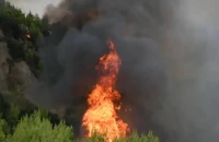 Φωτιά στα Πηγαδάκια Αρκαδίας: Μεγάλη επιχείρηση της Πυροσβεστικής