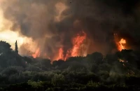 Η Ευρώπη στις φλόγες του κλιματικού χάους -Οι ΠΡΑΣΙΝΟΙ -Οικολογία ζητούν απεξάρτηση από τα ορυκτά καύσιμα