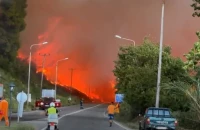 Φωτιά Χαλκιδική: Καταδίκη ΕΣΗΕΜΘ για την επίθεση σε συνεργείο του MEGA στη Σίβηρη