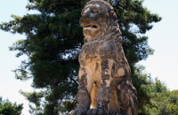 Γιώργος Γκάλιος - Κερδύλια: Τα χωράφια από το Λιοντάρι μέχρι τις εκβολές του Στρυμόνα τα διεκδικεί ή Κτηματική υπηρεσία Σερρών