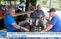 Χριστός - Σέρρες: Αγανακτισμένοι οι κάτοικοι από τις μύγες - Ξεκινάνε αυτή την εποχή και πάει μέχρι Νοέμβριο