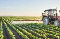 ΥΠΑΑΤ -Στο 96% η συμμόρφωση των δειγμάτων Μαΐου για υπολείμματα φυτοπροστατευτικών προϊόντων