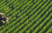 Νέα ΚΑΠ 2028-2034- Ισχυρή χρηματοδότηση, ευελιξία και στήριξη της ελληνικής παραγωγής στο επίκεντρο του Εθνικού Διαλόγου