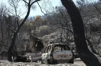 Φωτιά στην Σαλαμίνα: Προσαγωγή ύποπτης για εμπρησμό – Καταγγελίες για ακαθάριστα οικόπεδα και «χωματερές» στο νησί