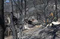 Απάντηση της ΕΛ.ΑΣ. για τη φωτιά στη Σαλαμίνα: Οργανωμένη και άμεση η κινητοποίηση για την ασφαλή απομάκρυνση των πολιτών.