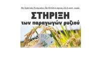 Στήριξη των παραγωγών ρυζιού με Κρατικές Ενισχύσεις De Minimis ύψους 24,6 εκατ. ευρώ
