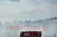 Φωτιά στη Θήβα: Σηκώθηκαν 2 αεροσκάφη και 1 ελικόπτερο